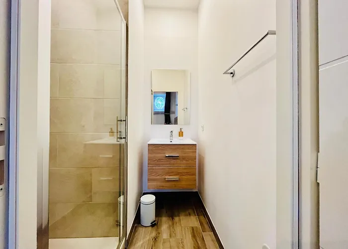 Spacieux & Familial, Climatisation, Hypercentre De Tours, Le Belvedere