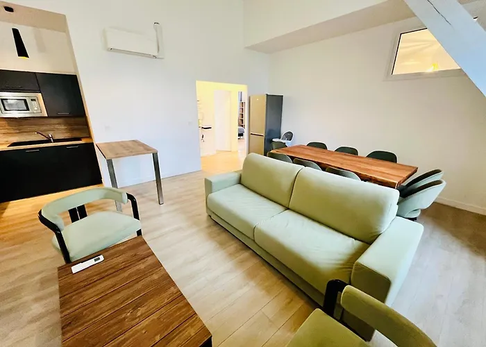 Spacieux & Familial, Climatisation, Hypercentre De Tours, Le Belvedere * טור